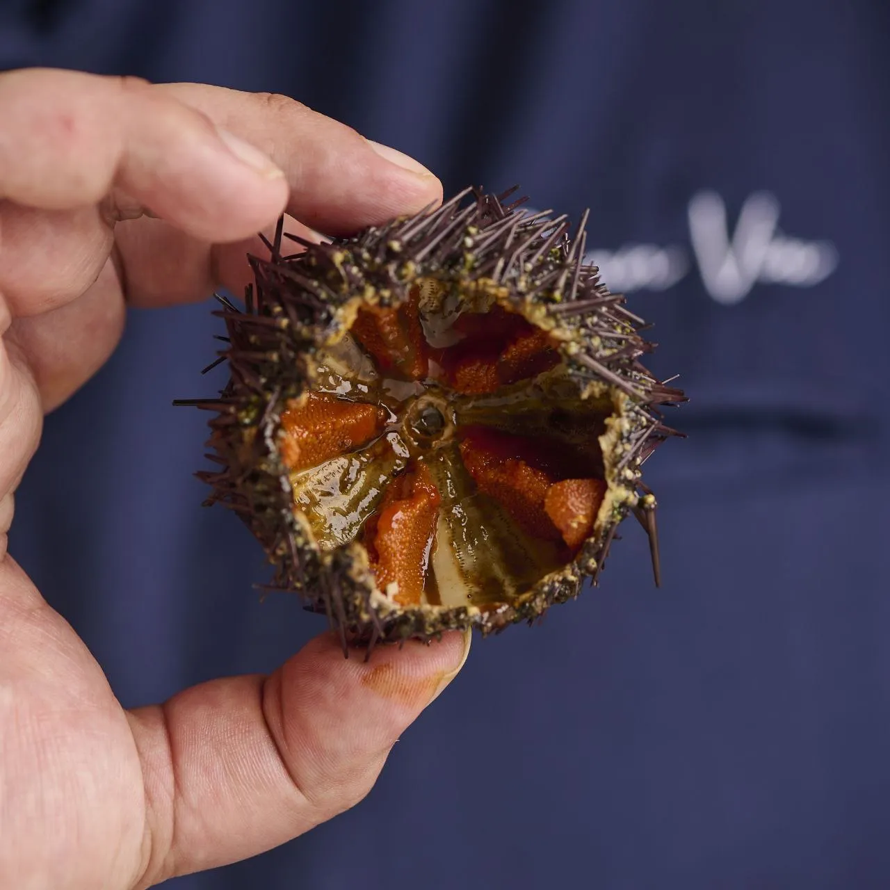 erizo mare restaurante estrella michelin cadiz